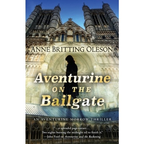 (영문도서) Aventurine on the Bailgate Paperback, Encircle Publications, LLC, English, 9781645994855