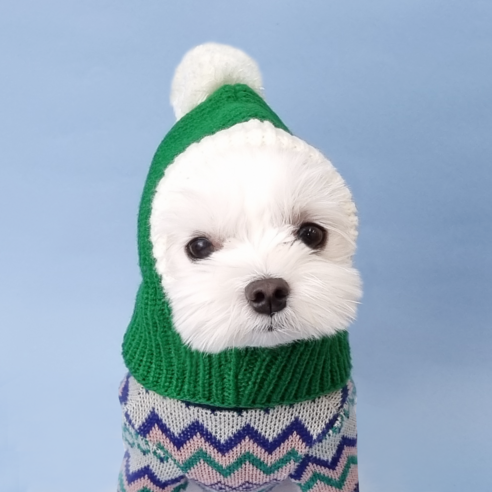 난펫 강아지 고양이 크리스마스 겨울 방한 군밤 모자, 초록