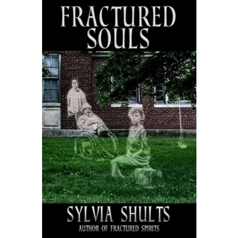 (영문도서) Fractured Souls: More Hauntings at the Peoria State Hospital Paperback, Macabre Ink, English, 9781950565375