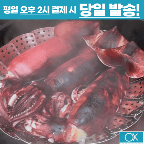 신선하고 맛있는 국내산 오징어의 탁월한 품질