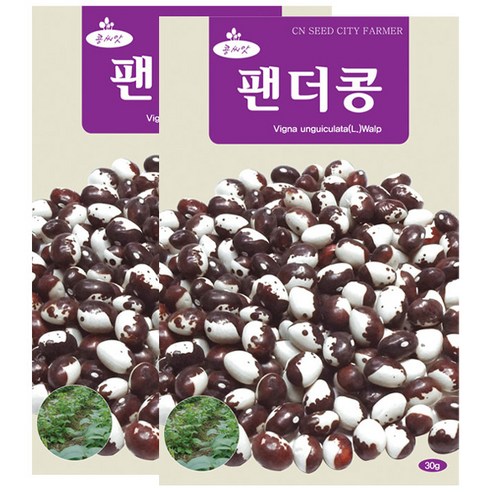 세인화분 팬더콩 30g, 2개