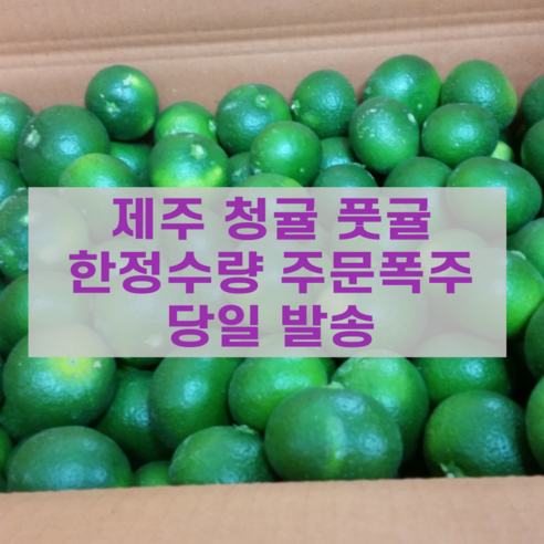 [고니네농수산] 최상품 제주 청귤 풋귤, 1박스, 3kg