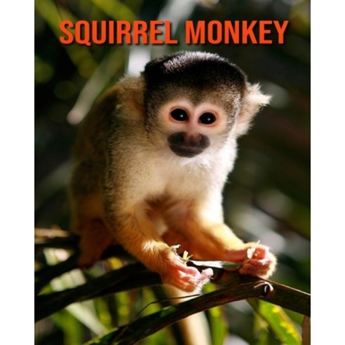 Squirrel Monkey: Fun Facts & Cool Pictures Paperback, Independently Published, English, 9798563280601