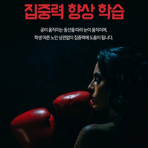 노스바이크 복싱볼 초보자용 + 숙련자용 세트: 궁극의 피트니스 도구