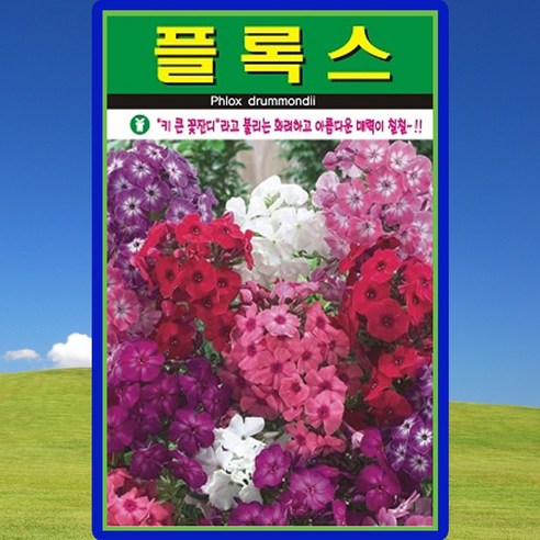 아람종묘 플록스 씨앗 300립 키큰꽃잔디 플록스 꽃씨 종자, 1개