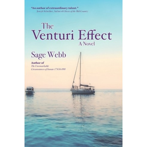 The Venturi Effect Paperback, Stoneman House Press, L.L.C., English, 9781733737944