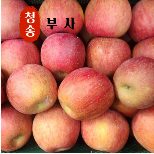 사과 당도선별 청송사과 고산지 부사사과