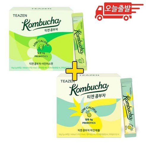 오늘출발 티젠 콤부차 30개입 샤인머스캣 + 파인애플 각 1개 (총 2개)