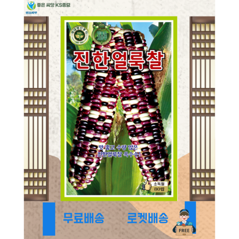 진한얼룩 찰옥수수 씨앗 (70립) 옥수수 종묘 종자 씨 영웅 KS, 1개