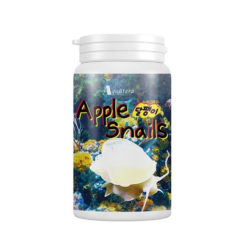 애플스네일 사료로 어항 청소 스트레스 없이 깨끗하게!