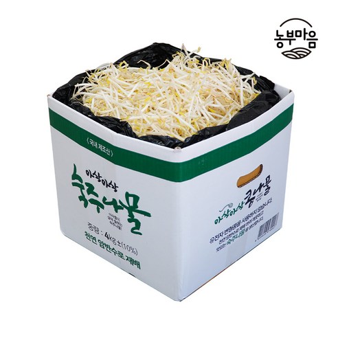 [생산지 직송] 신선하고 숙주나물 통통한 숙주 나물, 2kg, 1개