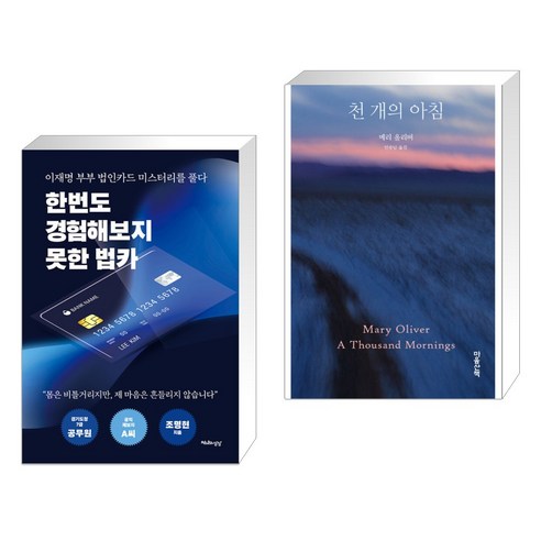 한번도 경험해보지 못한 법카 + 천 개의 아침 (전2권), 천년의상상 천비평도