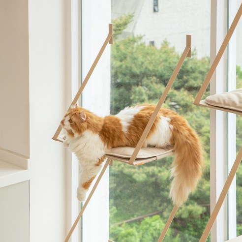 애니멀리프 접을 수 있는 고양이 창문 캣타워