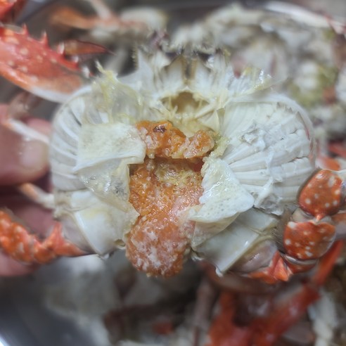 신선한 연평도 꽃게: 집에서 바다의 맛을 즐기세요