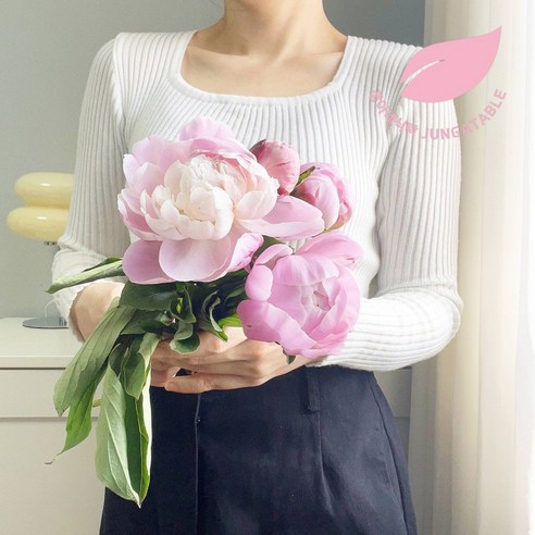 작약 생화 꽃다발: 아름다운 멀티 컬러가 어우러진 선물용 꽃다발