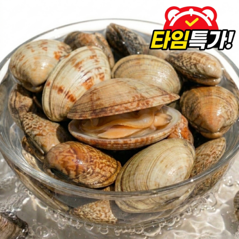 [타임세일] 바지락 국산 해감 왕바지락