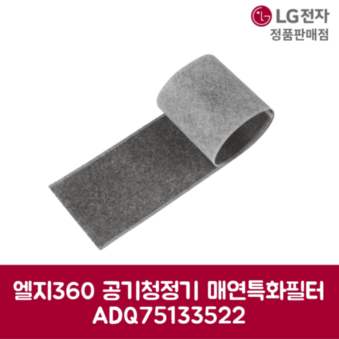 LG전자 엘지 정품 퓨리케어 360 매연 특화필터 2개입 AS354NSJA 모델 순정품, 기본선택