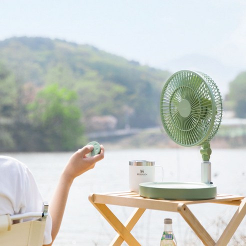 라이프썸 무선 접이식 BLDC 선풍기(LFS-HA40)+전용 파우치, 세이지그린