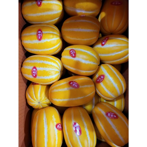 신선한 참외를 합리적인 가격에