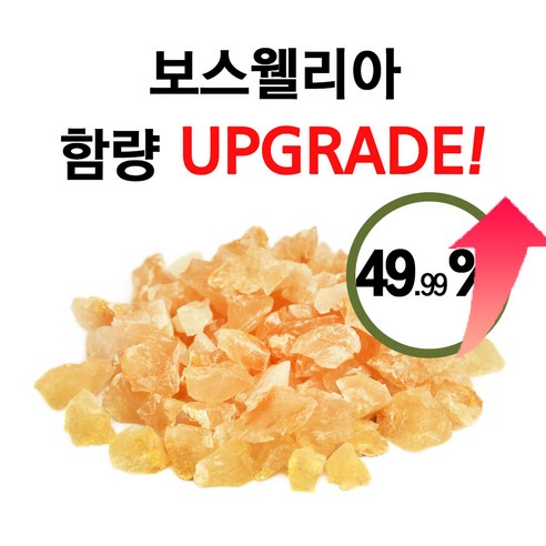 활력 넘치는 일상을 위한 관절 건강 솔루션