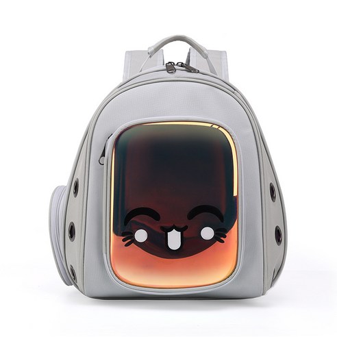 휴대용 고양이 가방 애완 동물 배낭 어깨 투명 배낭, 레이저 재