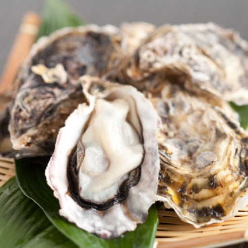 통영의 신선한 입망 석화굴로 건강하고 맛있는 식사를 즐기세요!