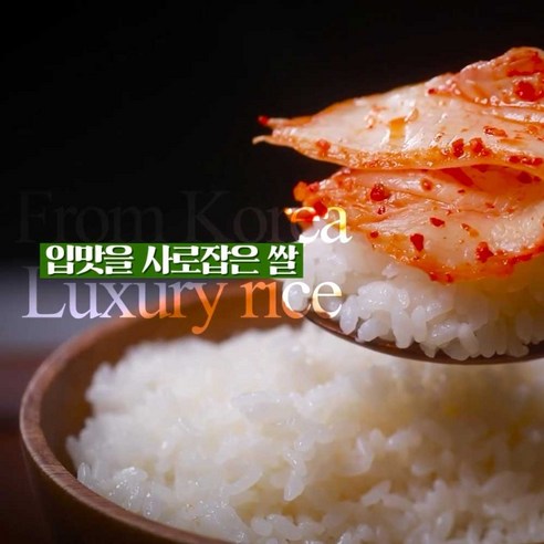 신선한 햅쌀의 향연, 당진해나루골드 특등급 삼광미