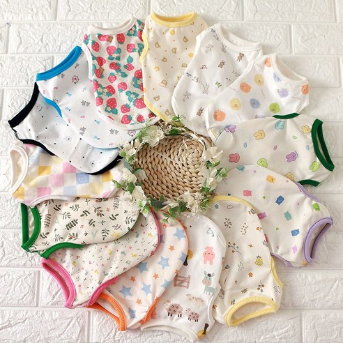 반려견을 위한 건강한 오가닉 실내복