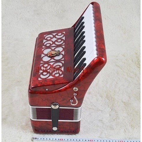 아코디언 백 어깨끈 포켓 교육용 아코디언 sanfona 악기 악기 판매 diatonic 25 akordeon accordion accordion parrot 브랜드 새 16