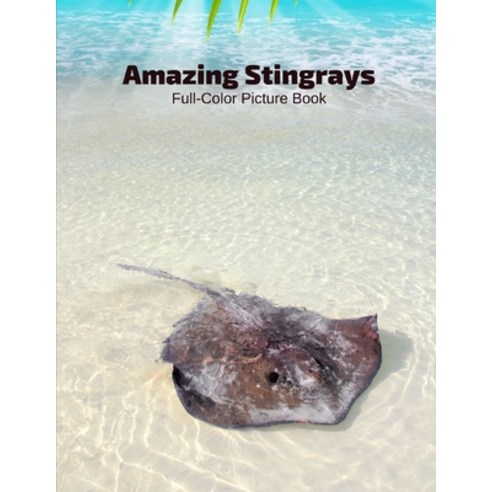 Amazing Stingrays Full-Color Picture Book: Ocean Animals -Marine Life Paperback, Independently Published, English, 9798555586759