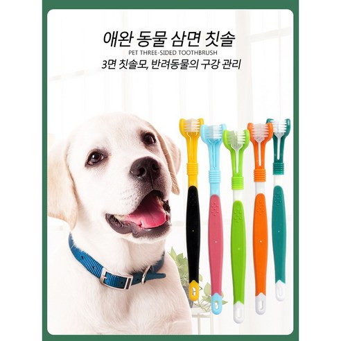 반려견용 펫칫솔 2개 고양이용 칫솔 구강청결제용 칫솔 3개 고양이용 칫솔, 옐로우 블랙x2