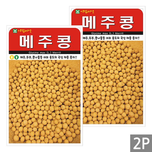 세인화분 메주콩 30g - 국산 백태 콩 씨 씨앗, 2개