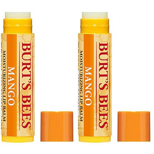 버츠비 내추럴 립밤, Nourishing Mango Butter, 2개, 4.25g