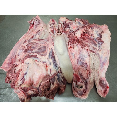 [창조축산유통] 한우 암소 소머리 1개 (우설 포함)