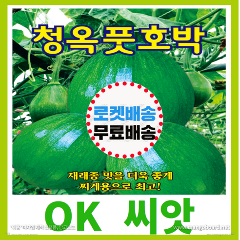 [OK씨앗] [청옥풋호박] 호박씨앗 종자(오케이씨앗), 1개