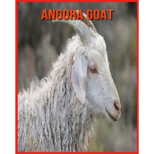 Angora Goat: Fascinating Angora Goat Facts for Kids with Stunning Pictures! Paperback, Independently Published, English, 9798706625092