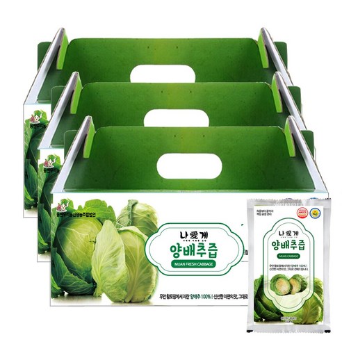 웰빙건강마을 HACCP인증 무안 양배추즙 90포, 1박스, 3L