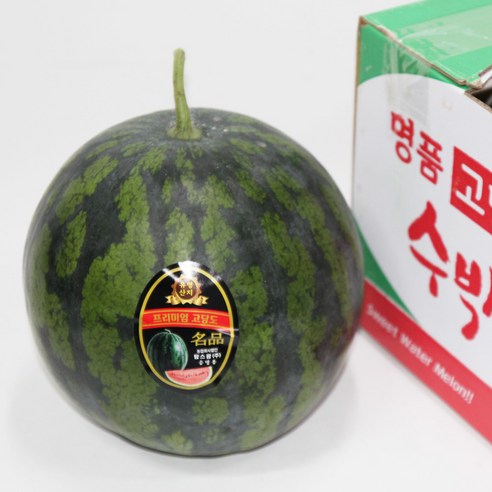 고당도 수박 / 하우스 수박 / 국산 산지(고창 함안 등), 1개, 8kg