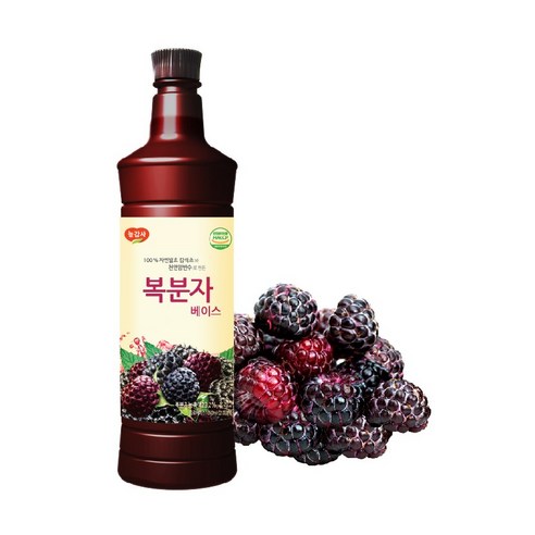 광야식품 복분자 베이스 970ml, 13개