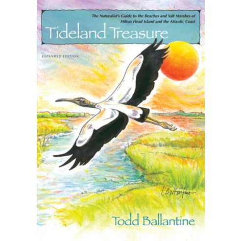 Tideland Treasure: The Naturalist''s Guide to the Beaches and Salt Marshes of Hilton Head Island and the Atlantic Coast, Univ of South Carolina Pr