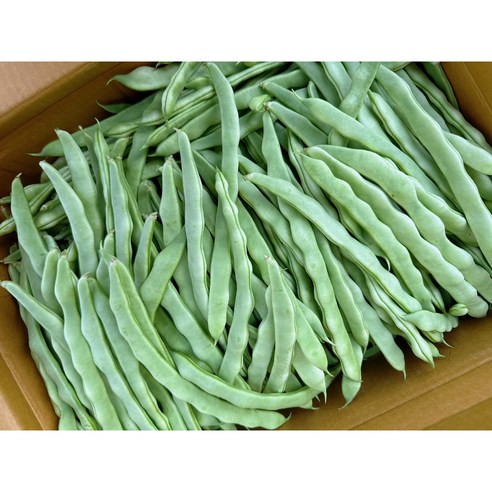 해성중국식품 연변반찬 흰색쟈떠우 단콩 떠우죠 500g - 기타채소 | 쿠팡