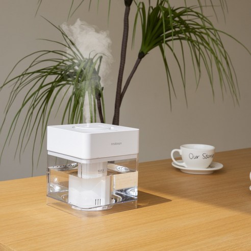 36시간 촉촉함,  간편한 통세척,  합리적인 가격