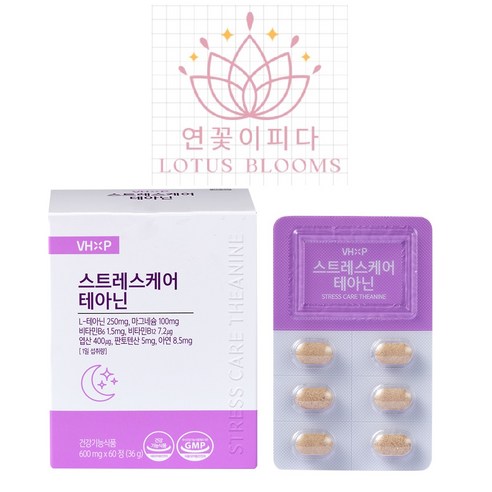 마음이 편해지는 스트레스케어 테아닌 마그네슘 비타민b 면역건강기능식품 수면건강기능식품 불면건강기능식품, 2개, 120정