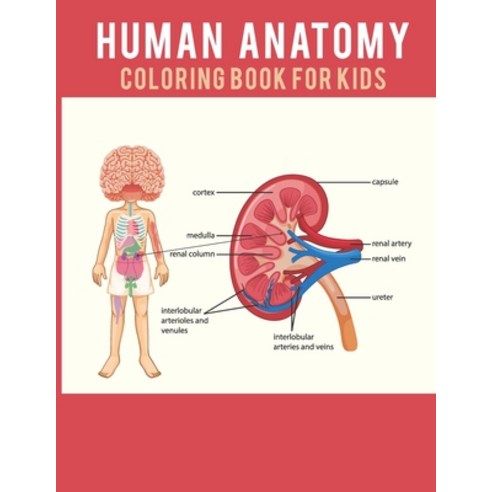 Human Anatomy Coloring Book For Kids: Human body theater preschool anatomy book Bones Muscles Blood ... Paperback, Independently Published, English, 9798570350724