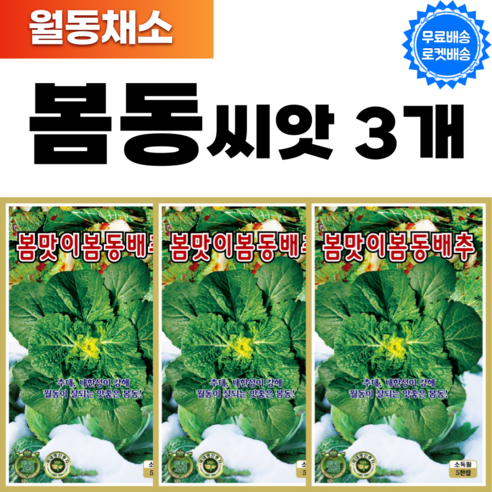 봄동씨앗 3개 봄동 씨 국내채종 월동채소 겨울배추 종자, 1세트