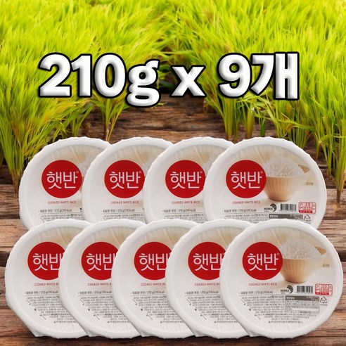 햇반 백미밥 210g 중간공기, 9개