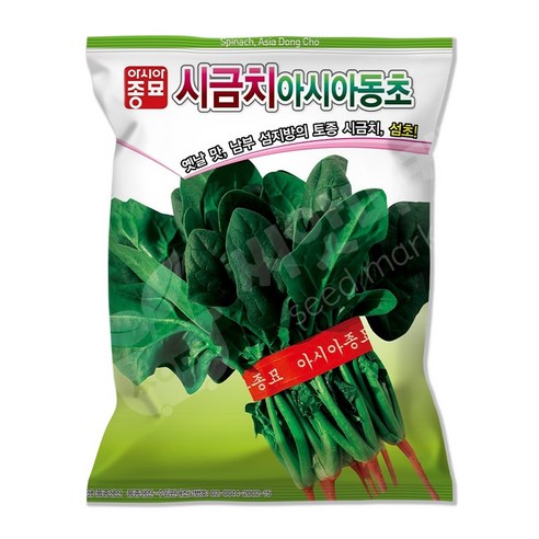 아시아동초 시금치 씨앗 400g 월동시금치씨 토종 섬초 종자, 1개