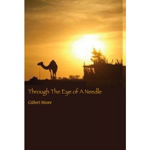 (영문도서) Through The Eye of A Needle Hardcover, Blue Logic, English, 9781087927381