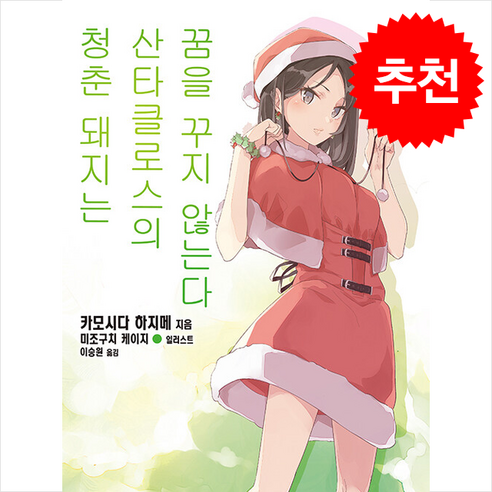 청춘 돼지는 산타클로스의 꿈을 꾸지 않는다 13, 디앤씨미디어, 카모시다 하지메 저/미조구치 케이지 그림/이승원 역