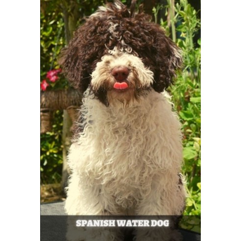 (영문도서) Spanish Water Dog: Complete breed guide Paperback, Independently Published, English, 9798481848716